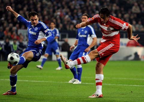 野和意识 野和意识